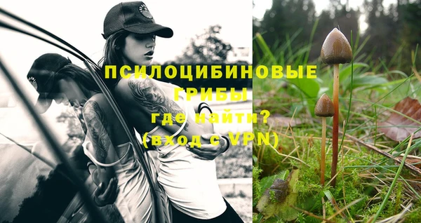 кокс Инта