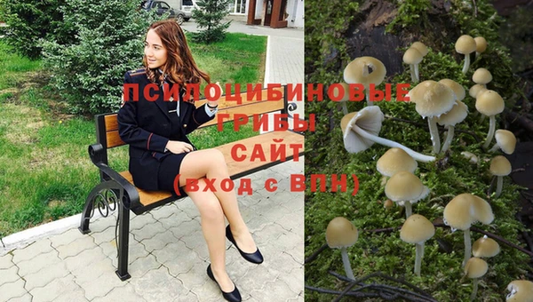 спиды Заводоуковск
