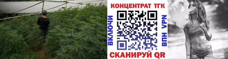 Дистиллят ТГК Wax  купить наркотики сайты  Кола 