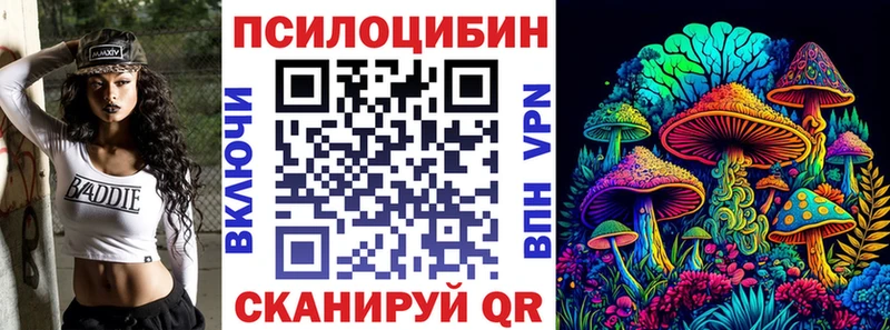 Псилоцибиновые грибы Psilocybe  Кола 