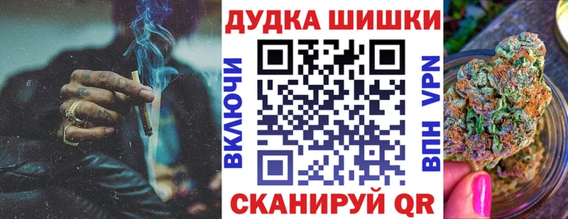 Бошки Шишки план  Кола 